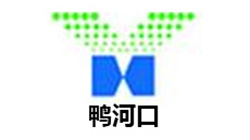 鴨河口